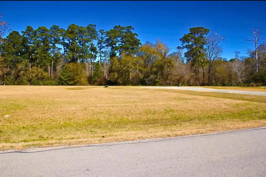 1 Wild Forest Court, Huntsville, TX 77340 - Image #3