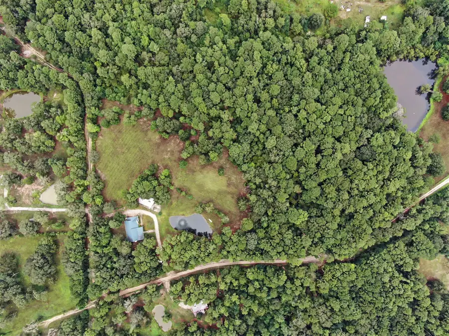 23421 Martha Williams Road, Montgomery, TX 77356 - #3