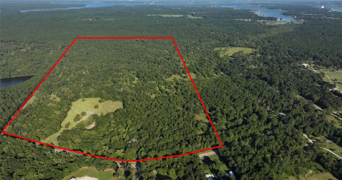 195 ac Fm 149 Rd, Montgomery, TX 77356 - #1