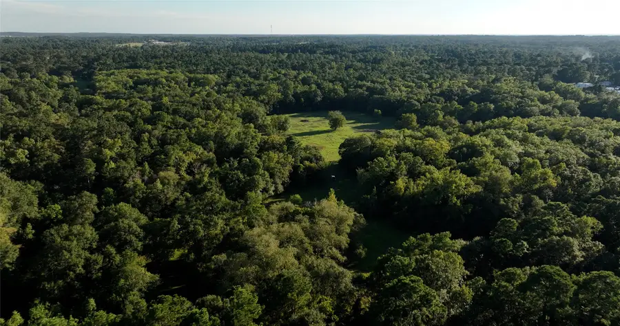 195 ac Fm 149 Rd, Montgomery, TX 77356 - #3