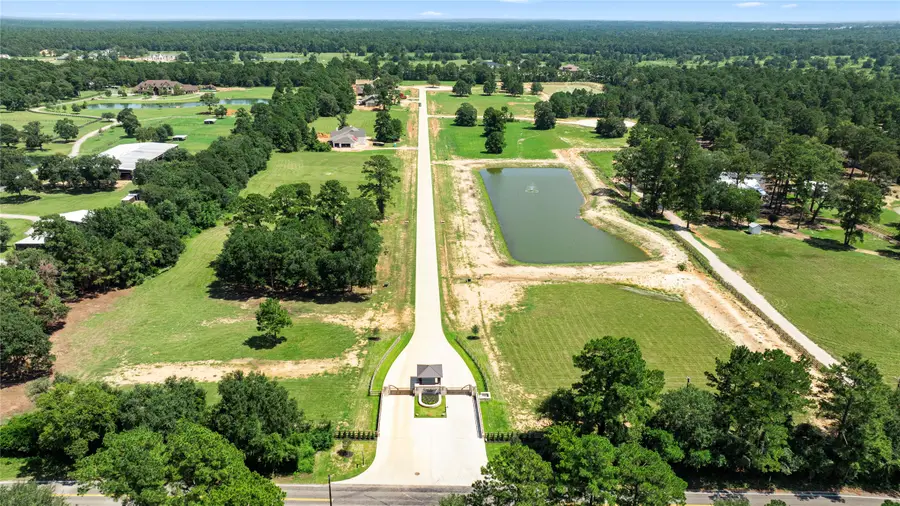 208 Rolling Oaks Drive, Hockley, TX 77447 - #2