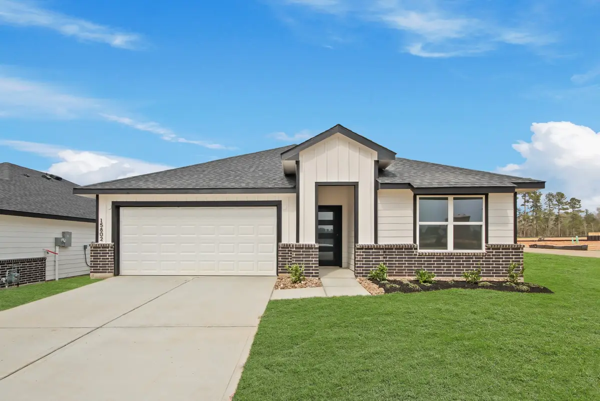 15802 Narrow Leaf Lane, Montgomery, TX 77316 - #1