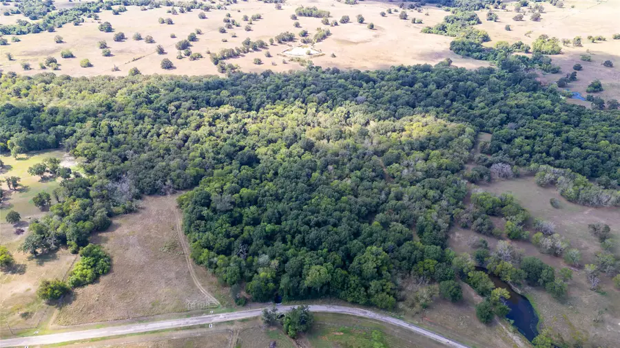 TBD Derby Lane Lane, Madisonville, TX 77864 - #3