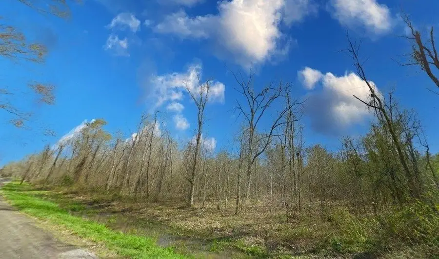 TBD County Road 2522, Dayton, TX 77535 - #3