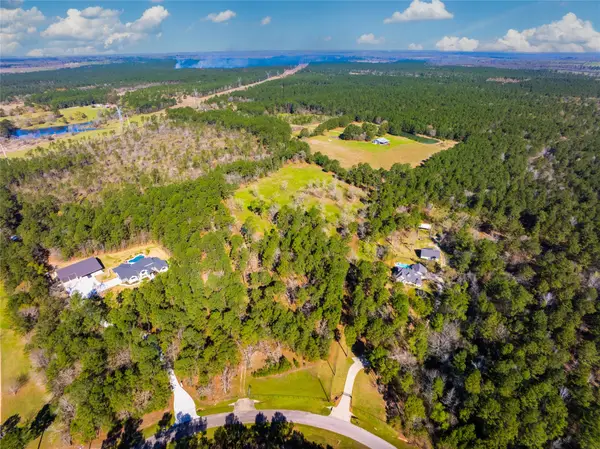 9191 Amelia Drive, Anderson, TX 77830