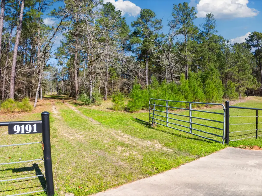 9191 Amelia Drive, Anderson, TX 77830 - Image #3