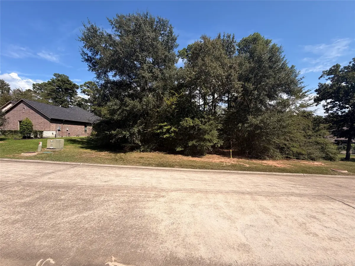 313 Pine Brook Drive, Montgomery, TX 77356 - #1