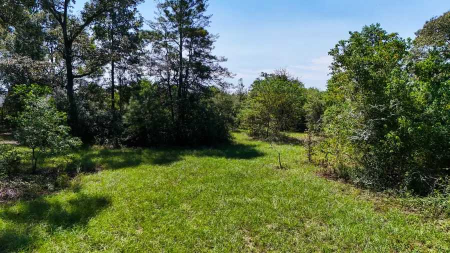 17652 Hwy 105 E, Conroe, TX 77306 - Image #2