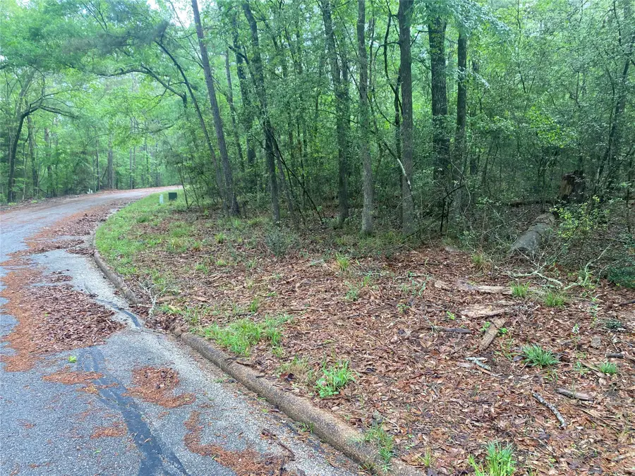 26724 W Pecan Lane, Huntsville, TX 77320 - Image #3