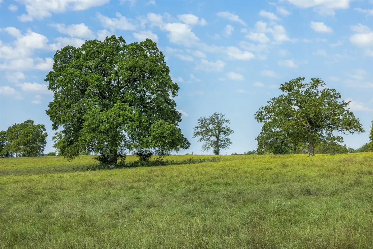 Tract 3 Rolke Ranch Road, Franklin, TX 77856 - Image #1