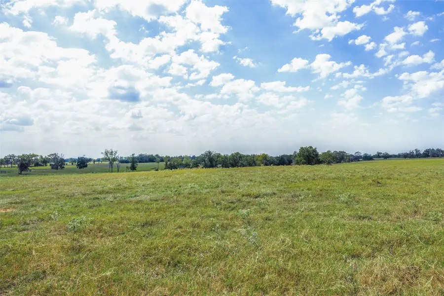 Tract 3 Rolke Ranch Road, Franklin, TX 77856 - Image #3