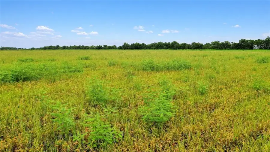 00 Old Boenisch Rd, Garwood, TX 77442 - #3