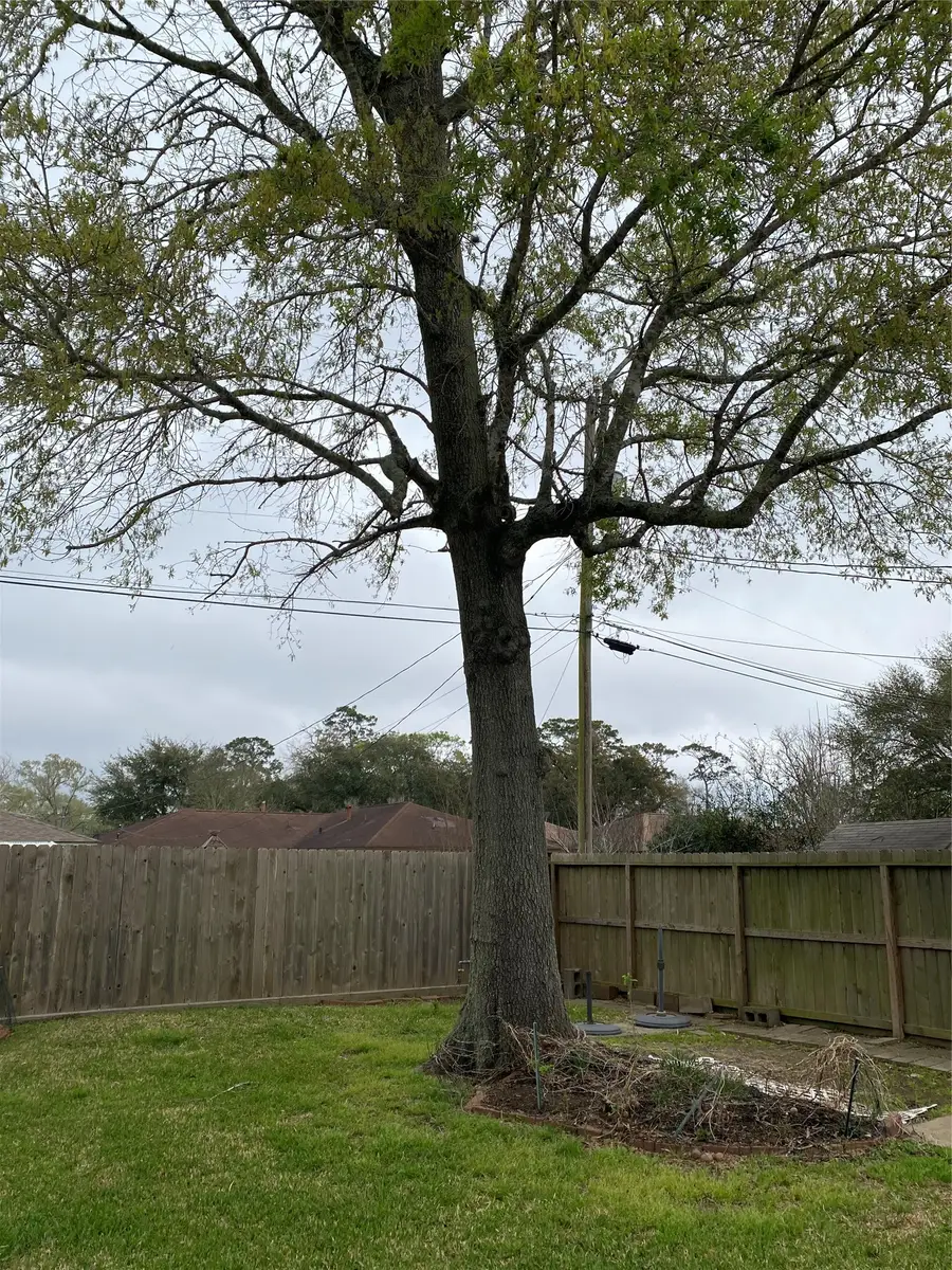 2709 Woodlawn Street, Dickinson, TX 77539 - #3