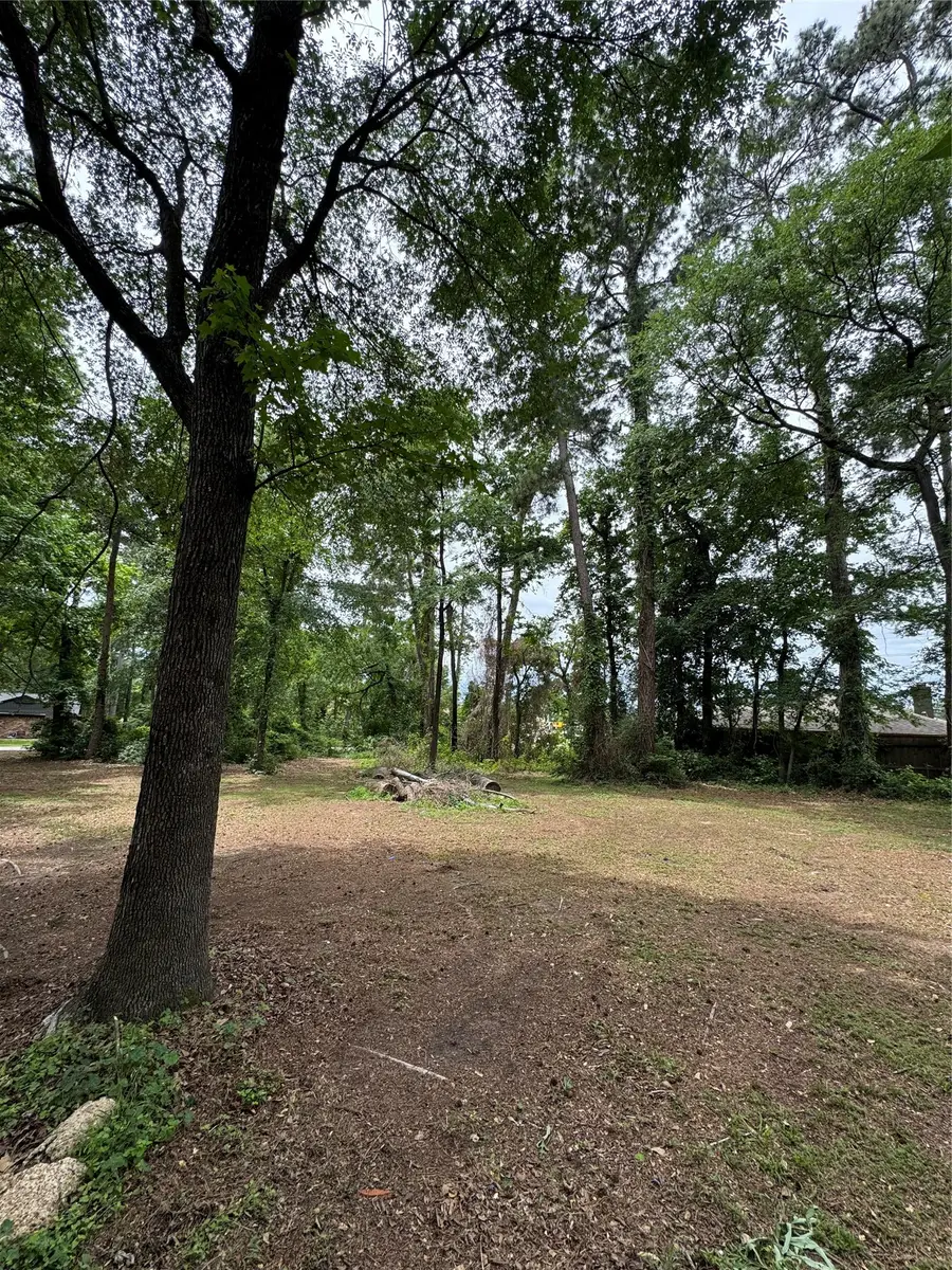 0 Sagewood Drive, Spring, TX 77386 - #3