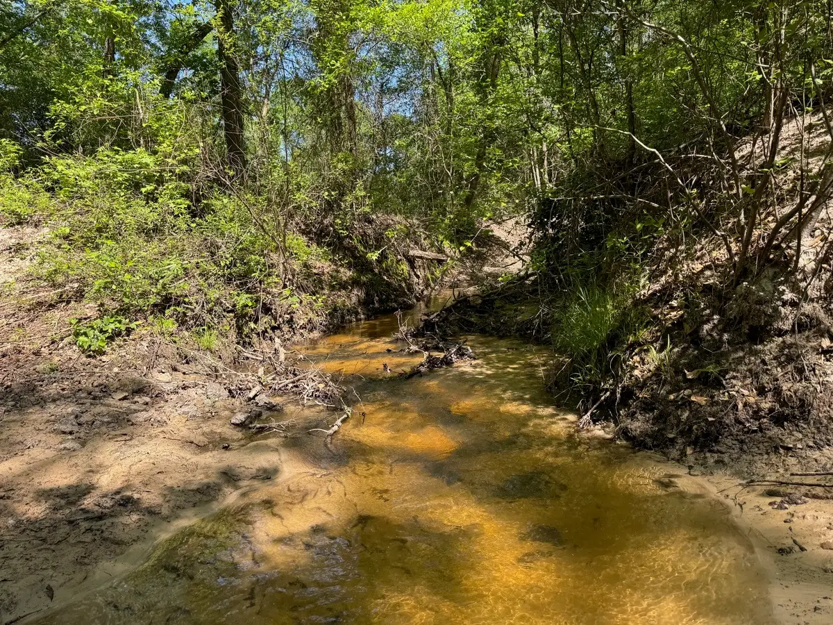 2954 Cr 2170, Grapeland, TX 75844 - #1
