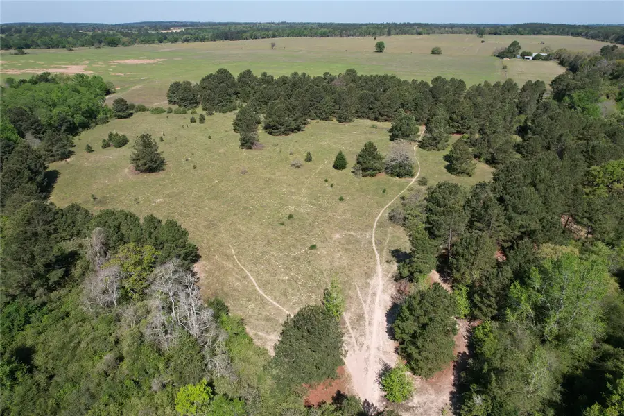 2954 Cr 2170, Grapeland, TX 75844 - #3