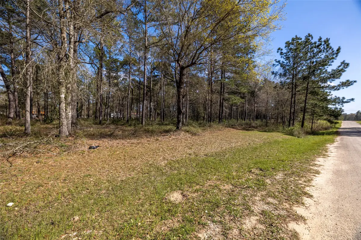 TBD2 Humbird Drive, Shepherd Evergreen, TX 77328 - Image #1