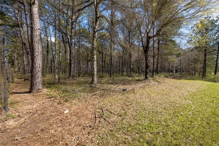 TBD2 Humbird Drive, Shepherd Evergreen, TX 77328 - Image #2