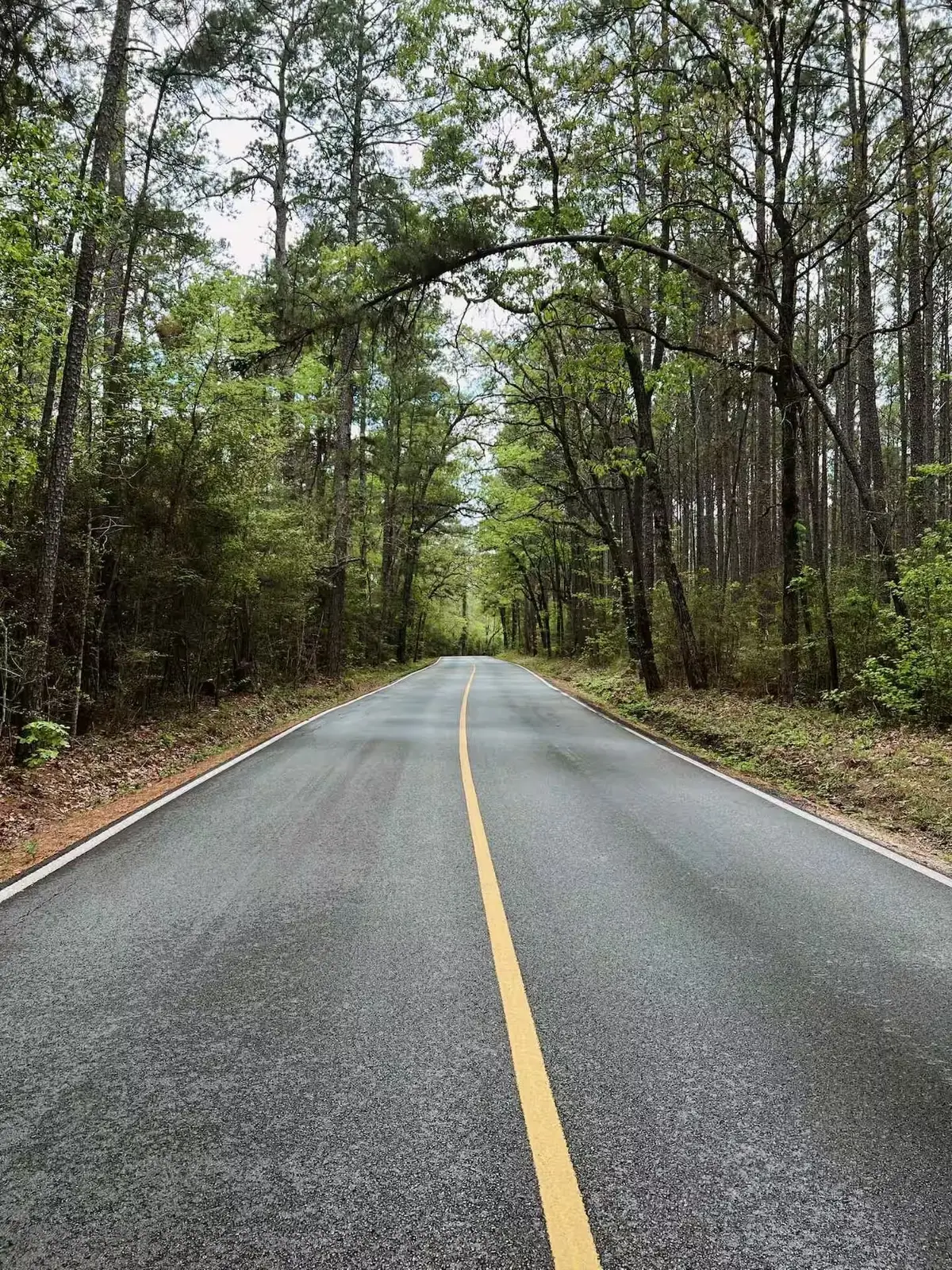 15689 Aspen Dr Drive, Montgomery, TX 77356 - #1