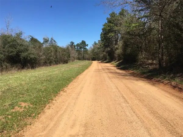 Lot 8 County Road 175, Nacogdoches, TX 75946