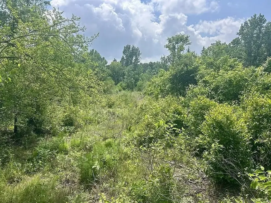 Lot 8 County Road 175, Nacogdoches, TX 75946 - #2