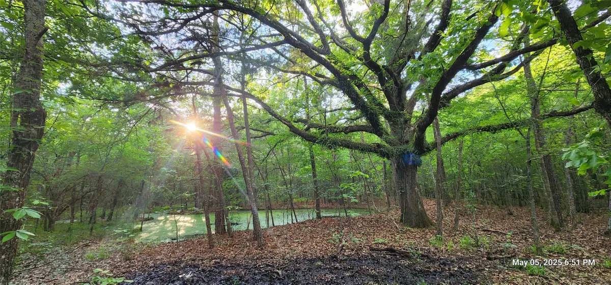 TBD Cr 3230, Clarksville, TX 75426 - Image #1