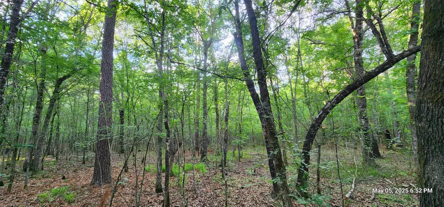 TBD Cr 3230, Clarksville, TX 75426 - Image #3