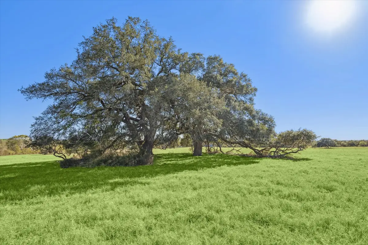 6230 Kovar Road, Fayetteville, TX 78940 - Image #1