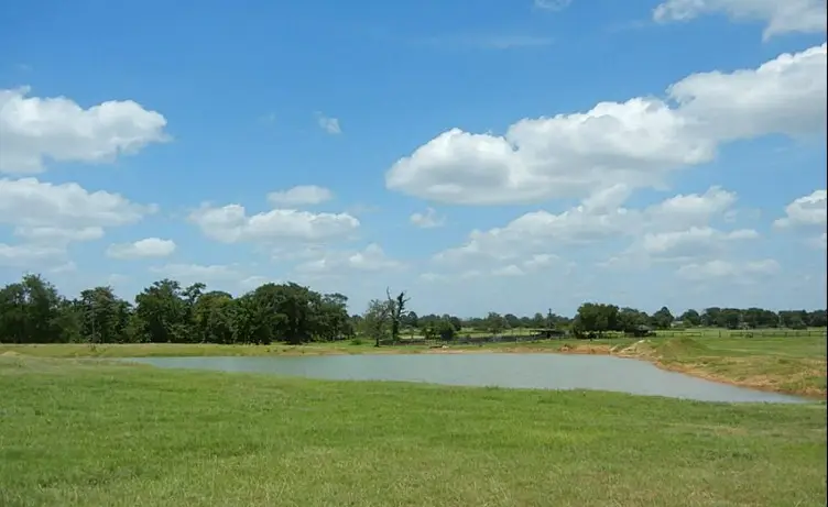 27185 Muckelroy Road, Hempstead, TX 77445 - #3