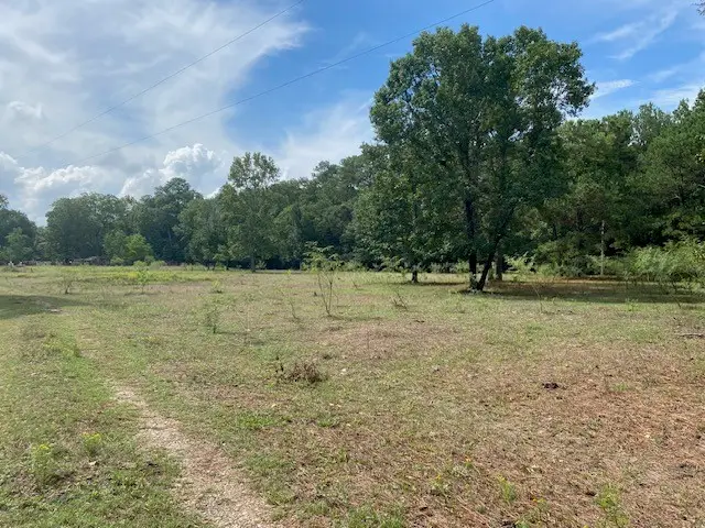 0 Firetower Road, Conroe, TX 77306 - #2