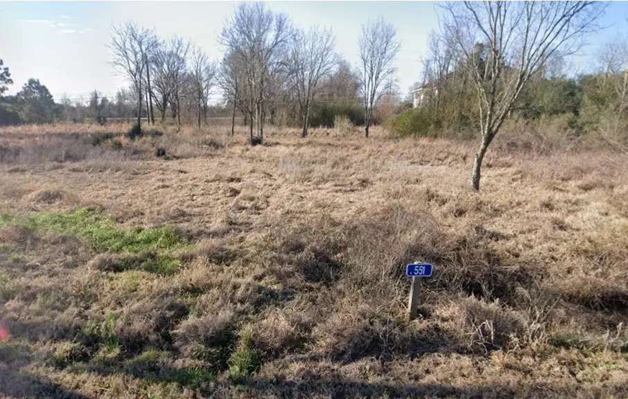 551 W Amaryllis Street, Waller, TX 77484 - #1