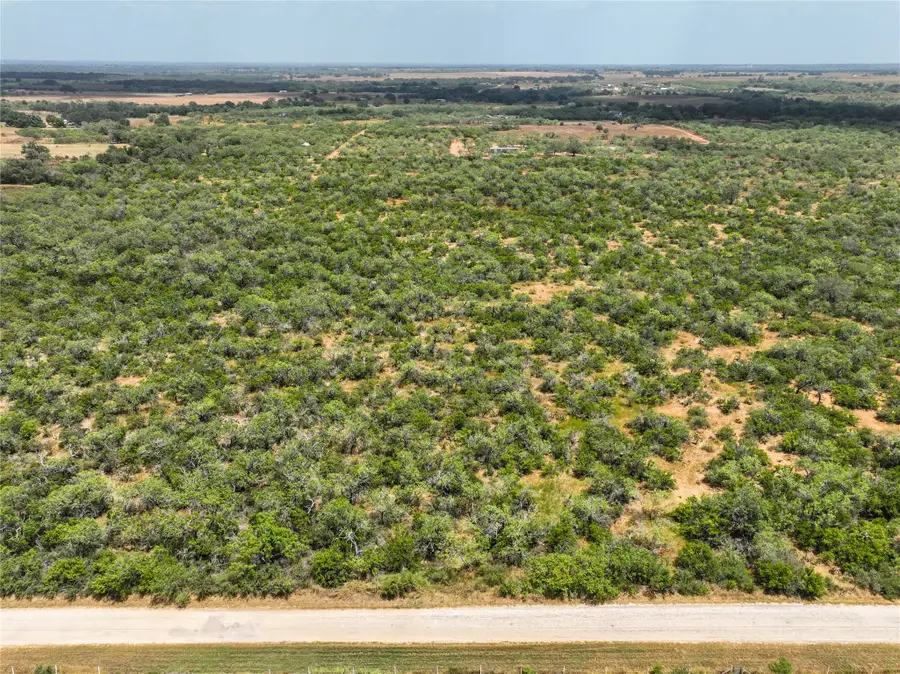 Lot 18 County Road 124 Road, Floresville, TX 78114 - #2