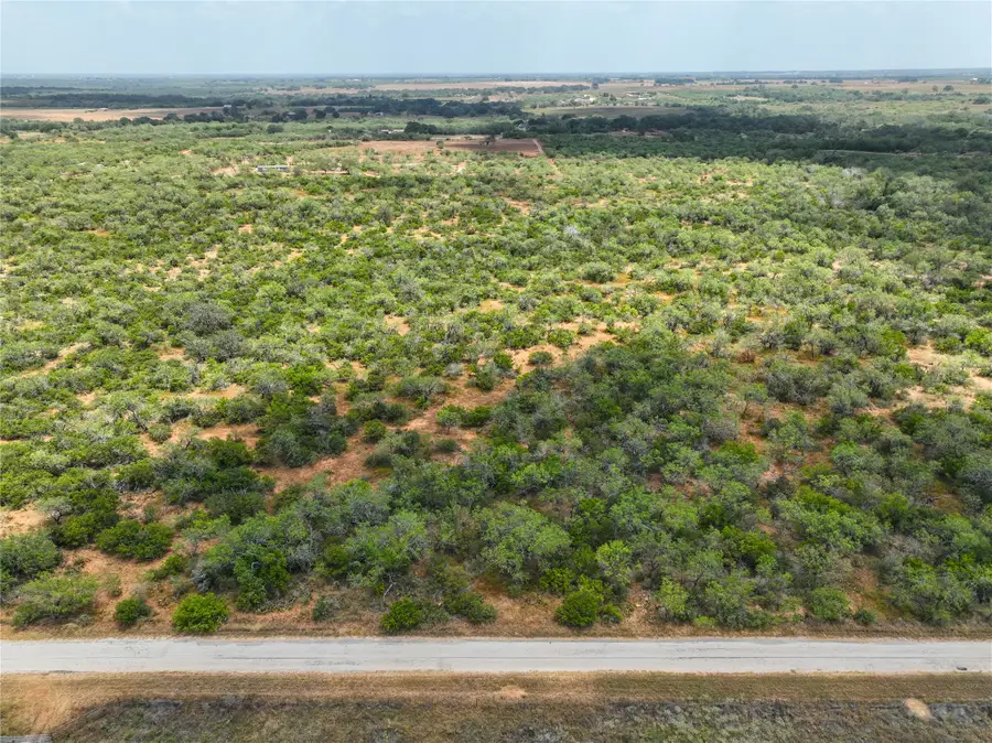 Lot 18 County Road 124 Road, Floresville, TX 78114 - #3