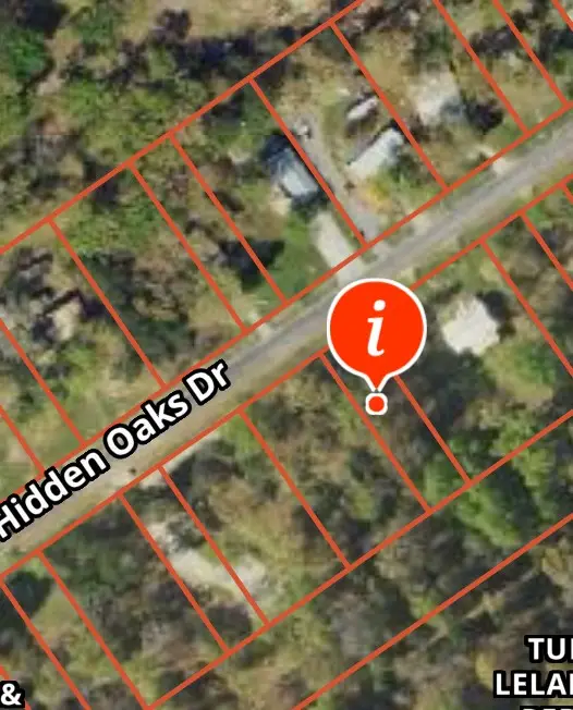 TBD LOT 264 Hidden Oaks Drive, Pointblank, TX 77364 - Image #1