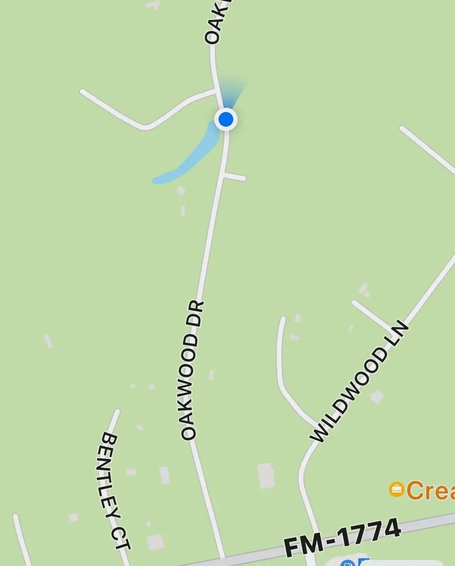 TBD Live Oak Drive, Plantersville, TX 77363 - #2