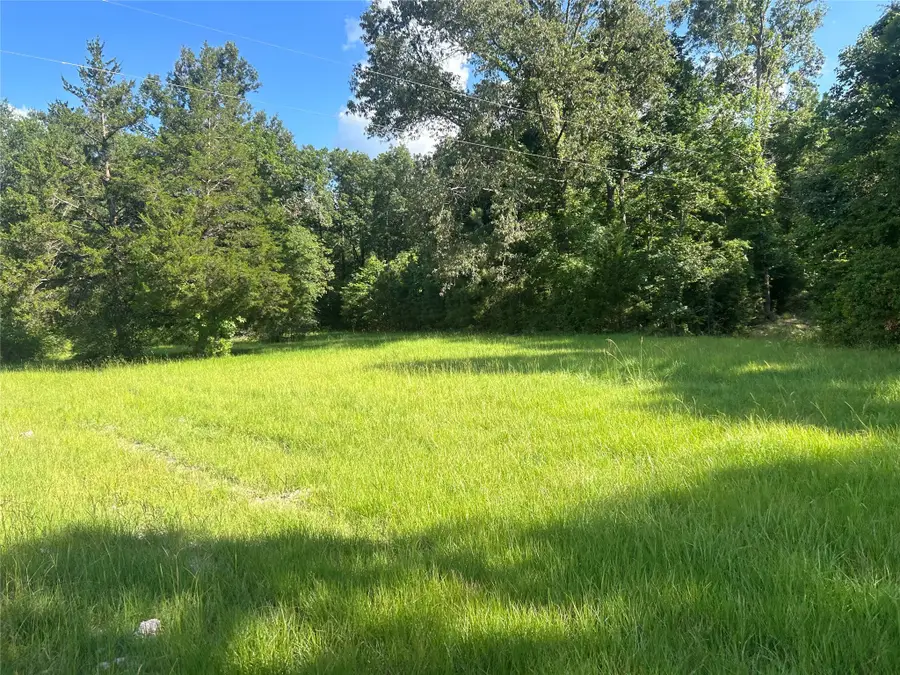 164 Parker Road, Corrigan, TX 75939 - Image #2