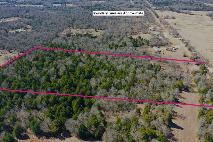 337 Fcr 640, Teague, TX 75860 - #2