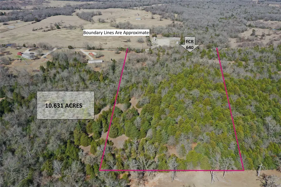 337 Fcr 640, Teague, TX 75860 - #3