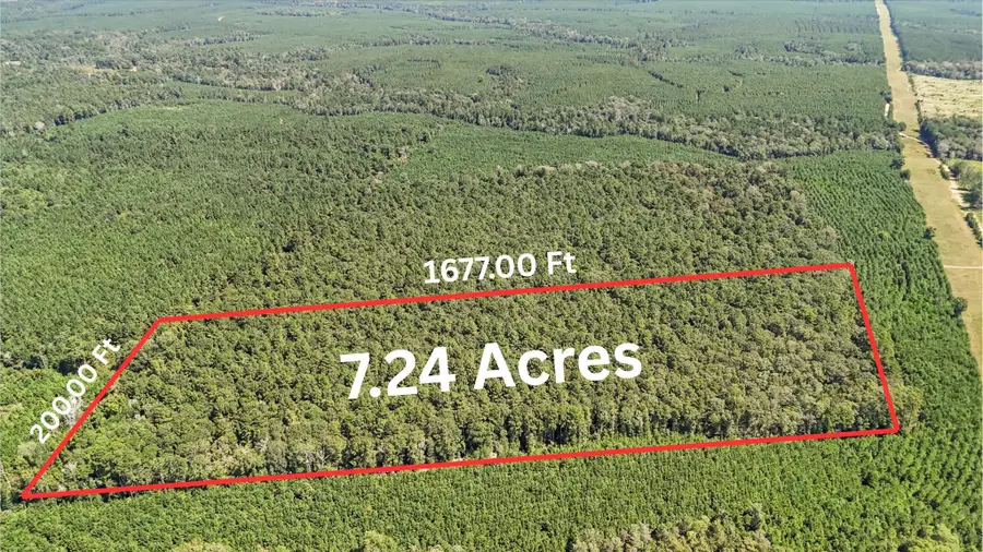 3904 Richardson Road E, Livingston, TX 77351 - #2