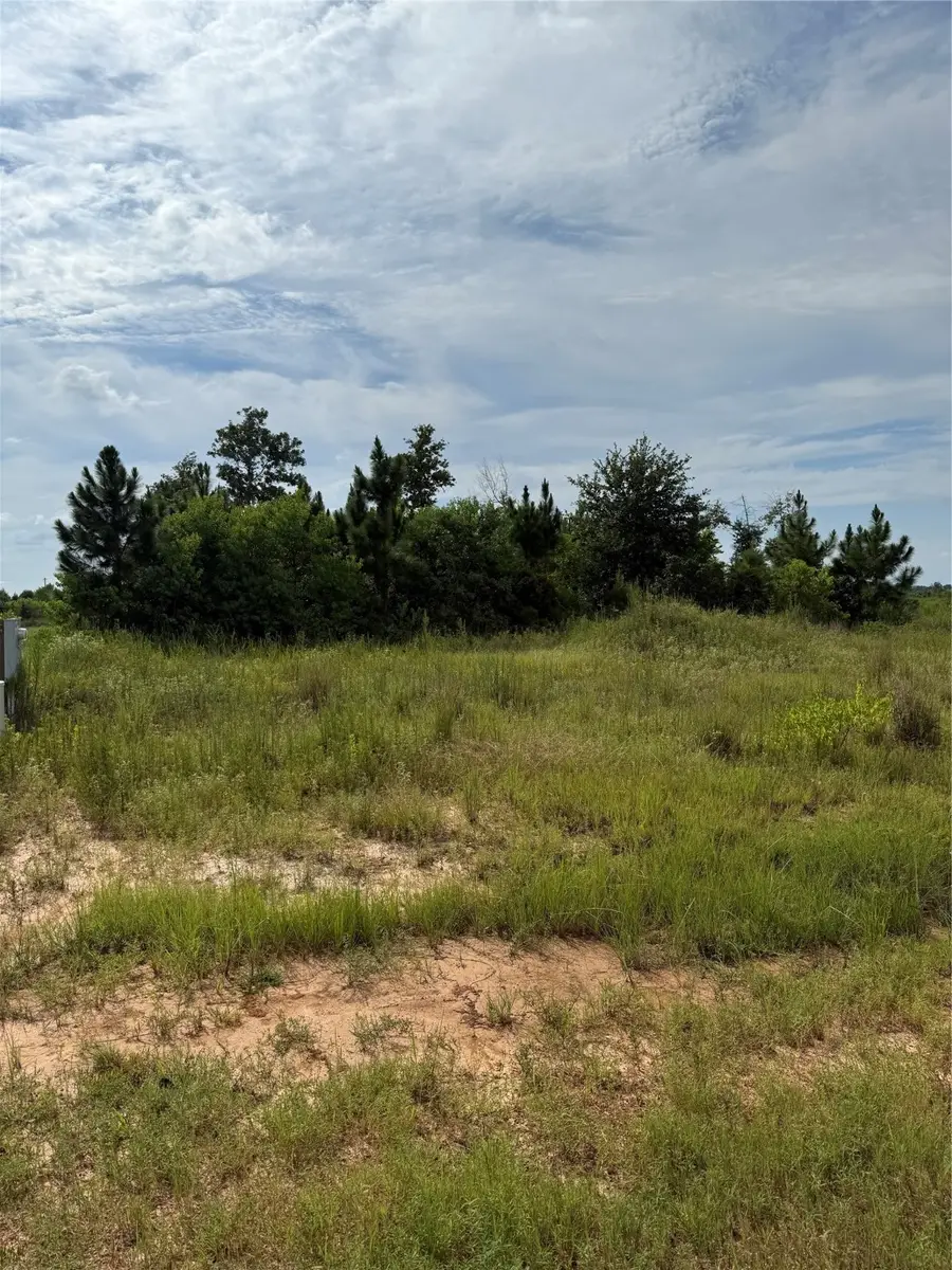 308 Road 5601, Cleveland, TX 77327 - #3