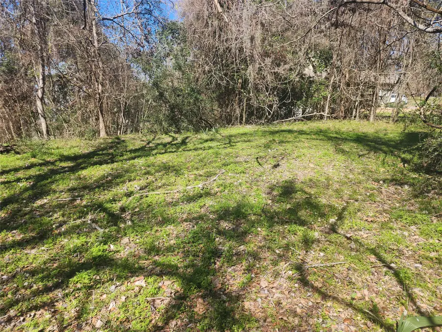 000 Linda Chain Road, Livingston, TX 77351 - #2