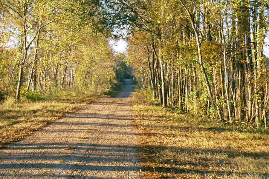 81 Pine Meadow, Cleveland, TX 77327 - Image #2