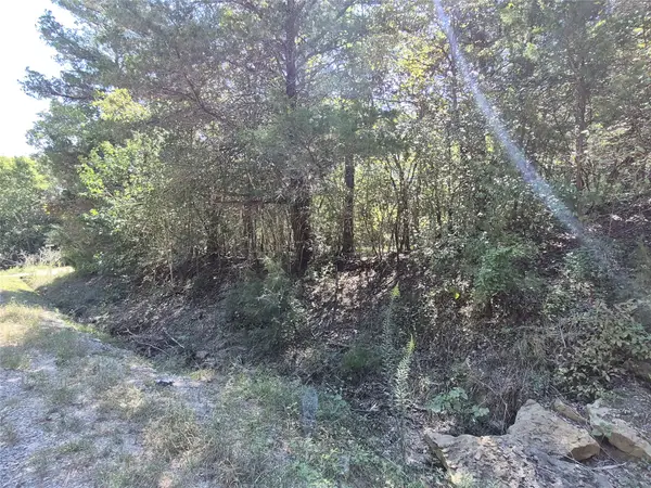 TBD Cedar Hilltop Dr, Coldspring, TX 77331