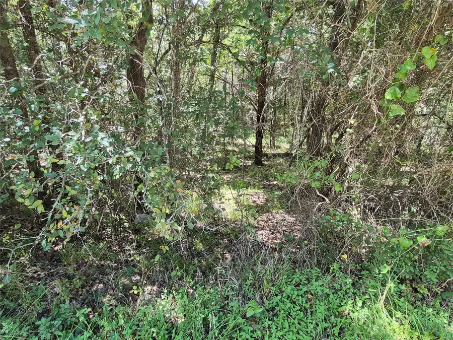 TBD Cedar Hilltop Dr, Coldspring, TX 77331 - #3