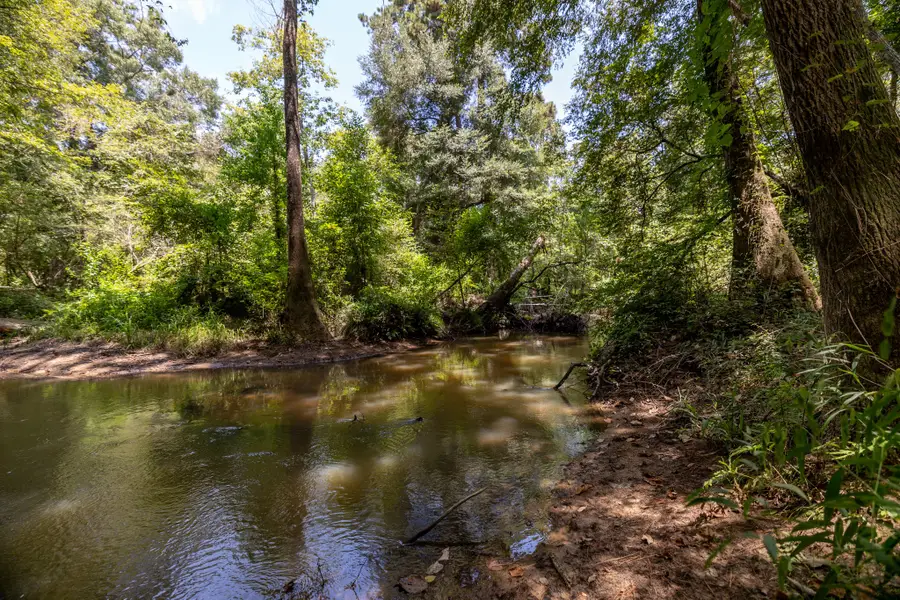 1255 Lee Turner Road, Shepherd Evergreen, TX 77328 - Image #2