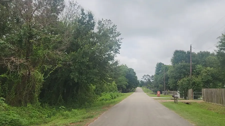 Lot 61 Greenfield Road, Hempstead, TX 77445 - #2