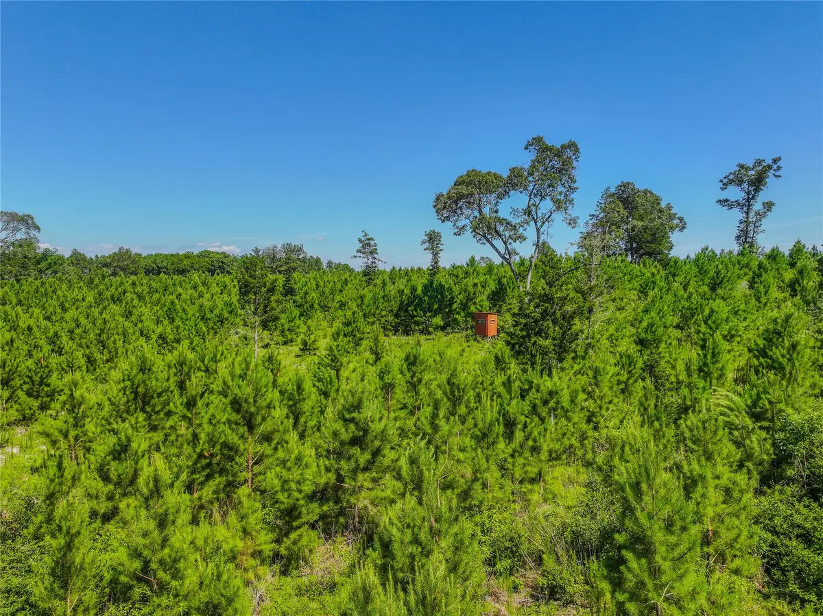 TBD County Road 1450, Warren, TX 77664 - Image #1