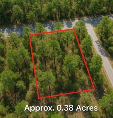 0 Pine Lodge Dr, Bastrop, TX 78602 - Image #3