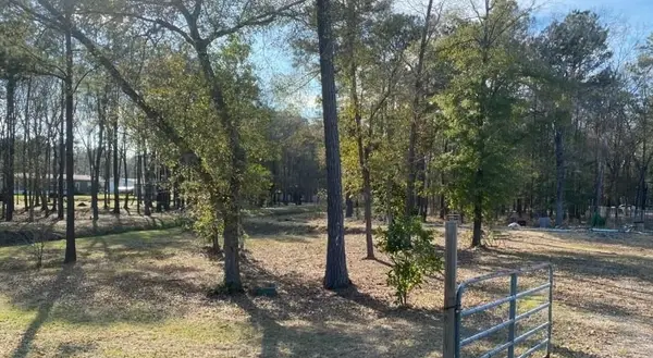 23859 Mydas Fly Lane, New Caney, TX 77357