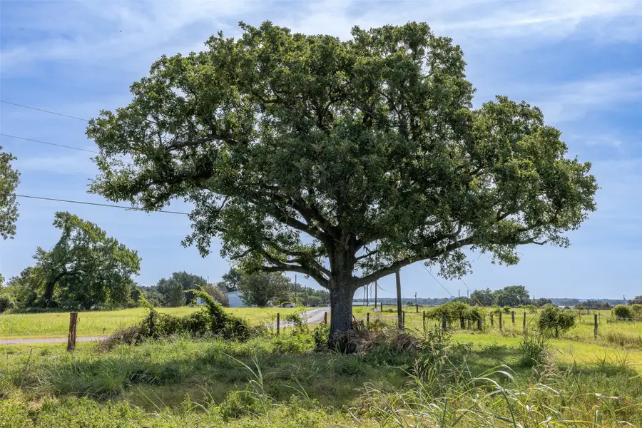 210 Lcr 822, Thornton, TX 76687 - Image #3